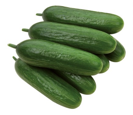 Cucumber Iznik F1